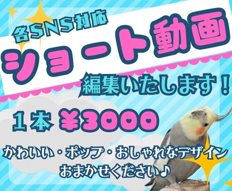 1本3000￥！ショート動画編集いたします かわいいものからおしゃれなものまで！丁寧に仕上げます！ イメージ1