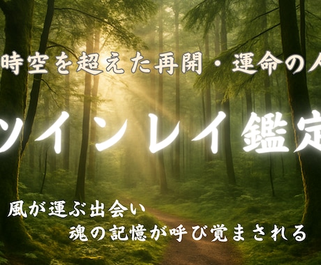 ツインレイ霊道霊視で、魂のつながり見極めます お相手との相性とご縁を霊視し、結ばれる未来へと整えます。 イメージ1
