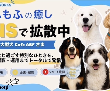 売上UP！SNS集客に効くバナー・画像制作をします 女性向け・美容・SNS専門！プロ級の透明感と訴求力で差別化 イメージ1
