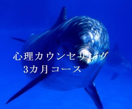 精神科看護師が3カ月間カウンセリングいたします 一人で悩んでいませんか？どんなこともお気軽にご相談ください。 イメージ1