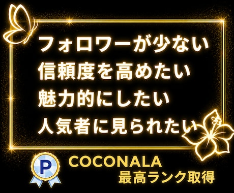 インスタのフォロワー＋10000人増やします Instagram1万人増加！振り分け可能！5月限定特価！ イメージ2