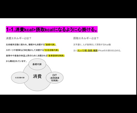 ダイエットの食事の基礎がこれだけで分かります 色々調べるのって面倒…という方向け イメージ2