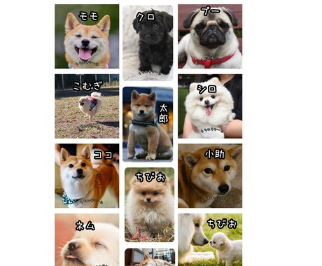 写真からうちの子オリジナルシールデザイン作ります ☆ペットやお子様の写真から世界に一つのシール！ イメージ2