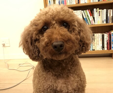 お悩み相談・雑談などします どんなことでも親身に相談に乗ります！ イメージ1