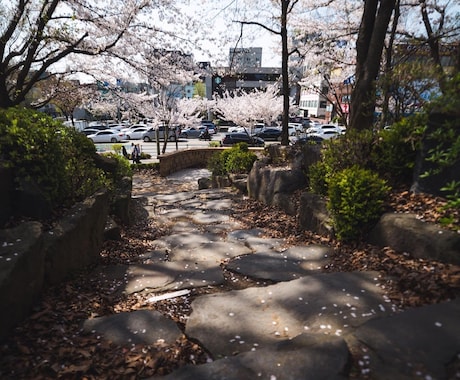 SNSなどで投稿する写真を現像・レタッチいたします 旅行で溜まった写真 日常で撮った写真など 格安で編集します！ イメージ2