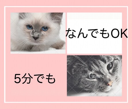 HSP専門カウンセラーがあなたの愚痴を聞きます 自己肯定感/悩み/人間関係/自分軸/周りに振り回される イメージ2