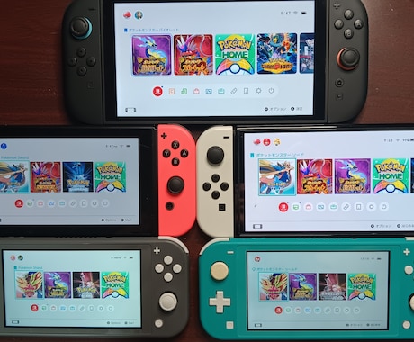 Switchのポケモン厳選代行します Switchのポケモン厳選代行《個体値·特性·色等》します！ イメージ1