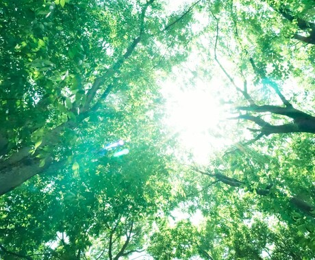 心に刺さったトゲを抜きます 今のあなたに一番影響を与えている事は何だと思いますか？ イメージ1