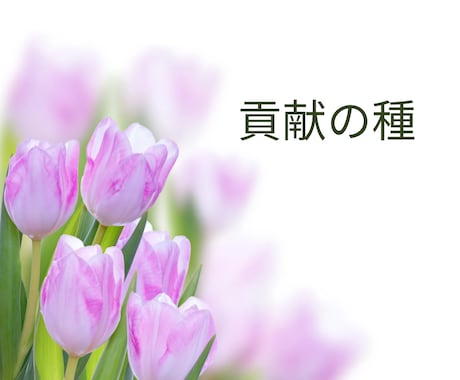 貢献の種。画像をDLしていただけます 貢献の種。画像をDLいただけます。 イメージ1