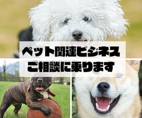 ペット関連ビジネスを検討している方ご相談に乗ります 【電話でのご対応】【ペット業界16年で情報量豊富！】 イメージ1
