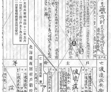 戸籍の取り寄せ、家系図の作成をサポートします ご自身で戸籍の取り寄せ、家系図を作成したい方を手伝います。 イメージ1