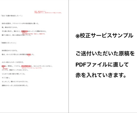 あなたの小説・文章を校正・ブラッシュアップします 〜誰かの心に響く文章を目指す方へ〜 イメージ2
