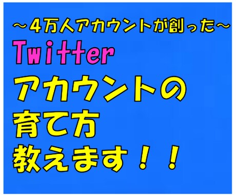 Twitterのアカウントの育て方教えます フォロワー４万人以上のアカウントが創ったTwitter攻略 イメージ1