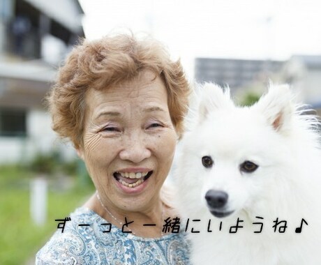 愛犬の「ちょっと困った」行動の相談にのります 現役11年のトリマーが犬の行動学に基づいて問題解決に導きます イメージ1