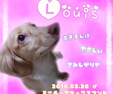 写真の切り抜き、文字入れ等の加工をします 写真を切り抜いて背景を変更したり透過したり文字をいれたり♪ イメージ1