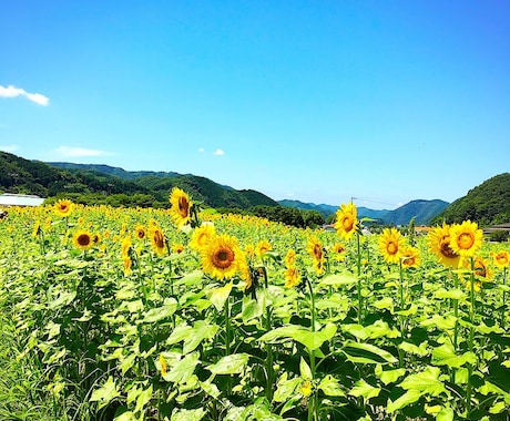 やさしく寄り添いあなただけの安心時間を作ります 自分のことが好きになれるそんな対話を心掛けています。 イメージ2