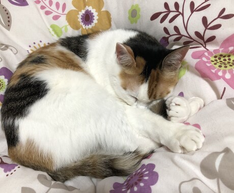 悩みや愚痴など親身になってお聞きします 悩み、愚痴などお話し聞きます。よろしくお願いします。 イメージ1