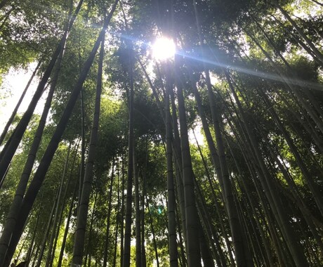 あなたのお話しお聴きします 看護師・保健師の経験を活かして、あなたの心によりそいます イメージ1
