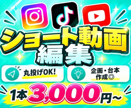 1本3,000円から動画作ります イメージ1