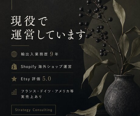 越境EC戦略を相談｜現役セラー対応します 売上につながる戦略を一緒に考えます イメージ2