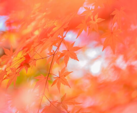 プロフィール写真加工▶︎自然にきれいに整えます ちょっとした写真加工もお気軽にご相談ください♪1枚〜OK イメージ2