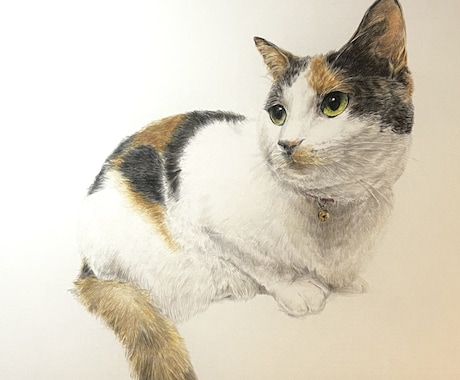 心を込めたペットの似顔絵描きます 大切な家族を色鉛筆で命を吹き込みます イメージ2