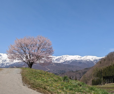 推薦入学、就職試験などの合格をサポートします 進学・転職、採用・コーチング経験豊富な博士がサポートします イメージ1