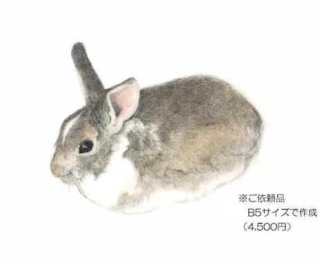原画郵送：写真からペット肖像画を色鉛筆で描きます 大切な「うちの子」を、世界に一枚だけの手描き作品に イメージ2