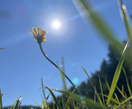 悩み、愚痴、不満なんでも聞きます だってにんげんだもの。感じている事全部聞きます。 イメージ1