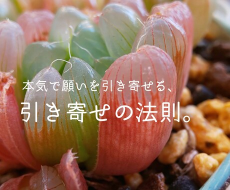 願いを本気で引き寄せる、引き寄せの法則伝授します お金、仕事、恋愛、結婚、人間関係、環境、願ったことを現実実現 イメージ1