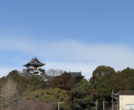 熱田神宮や愛知県周辺の神様へ代理参拝を致します 丁寧に参拝し様子を写真や動画で共有致します。 イメージ2