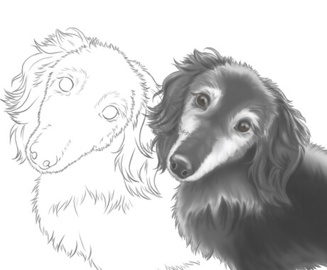 うちの子塗り絵お描きします ペットなどのお好きな動物を自分色で彩ってみませんか イメージ2