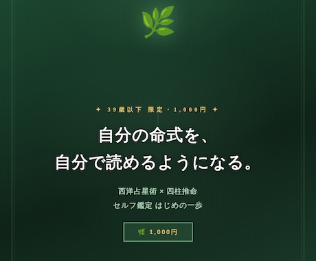 39歳以下の方限定⭐︎命式を読む手助けをします 依存しない新時代の占星術で、貴方と共に未来を作っていきます。 イメージ1