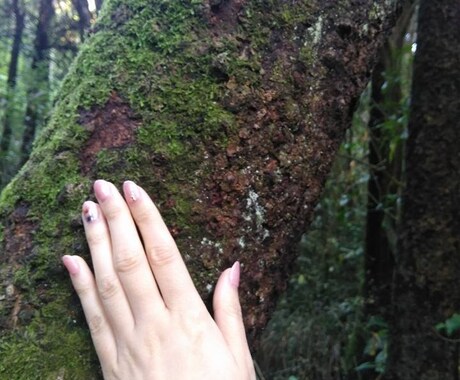 ニュージーランド(南島)のおすすめスポット教えます 地元民の視点でおすすめな場所やお店の情報を提供します♪ イメージ1