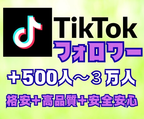 格安でTikTokフォロワー増やします 高品質＋減少率少＋補填保障あり。フォロワー＋５００人～ イメージ1