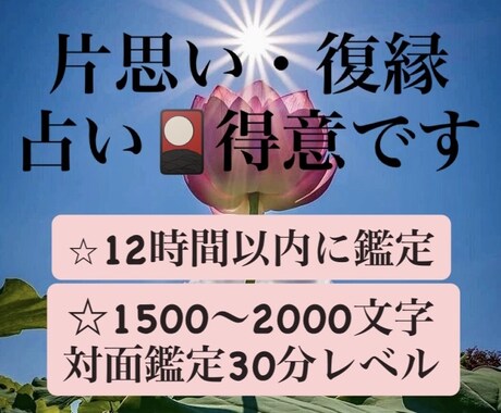 片思い・復縁・複雑大得意です！真剣に占います 30分対面鑑定レベルの鑑定書を送ります♡恋愛・仕事・運気 イメージ1