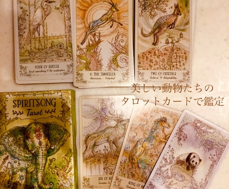 美しい動物たちのカードが貴方を成功へと導きます 直感と深層心理で占うタロットカード占い イメージ1