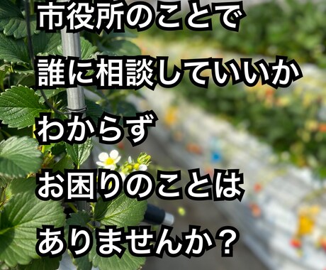 12,000件市民対応した元役所職員が相談受けます お悩みに親身になって傾聴し、メッセージ相談受け付けます。 イメージ1