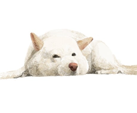 動物のイラストかきます 大切な動物のお友達をそのままイラストに！ イメージ2
