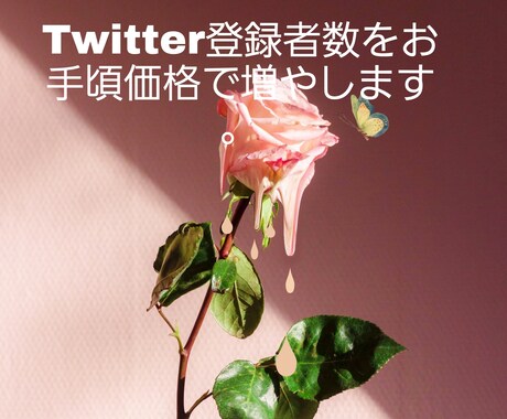 Twitterフォロワーを格安で100人増やします Twitterフォロワー数を+100人増えるまで拡散します イメージ2