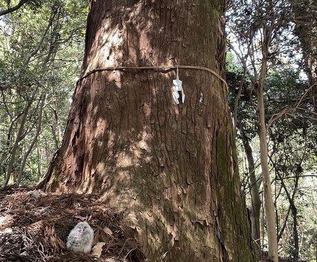 本当のあなたを知ることになります 思考や持って生まれた「癖」を知って現実に活かすお手伝いです イメージ1