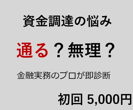 資金調達の可能性を徹底診断します 融資・補助金・助成金を総合分析 イメージ1