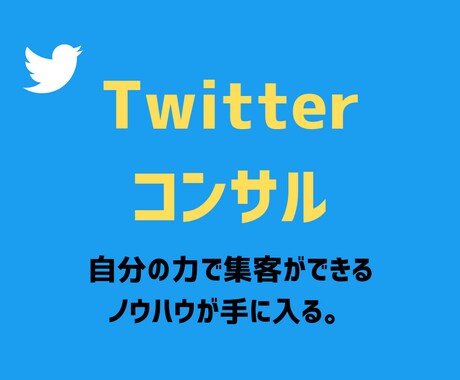 ファンを作るTwitter運用をコンサルします チャットと個別対応のPDFであなたの運用を徹底サポート♪ イメージ1