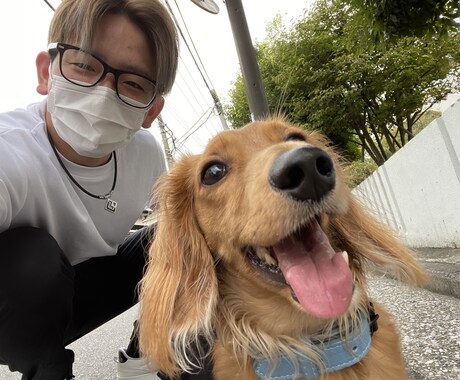 お散歩の引っ張り癖をなおします 自宅でプロのレベルのしつけを！ イメージ1