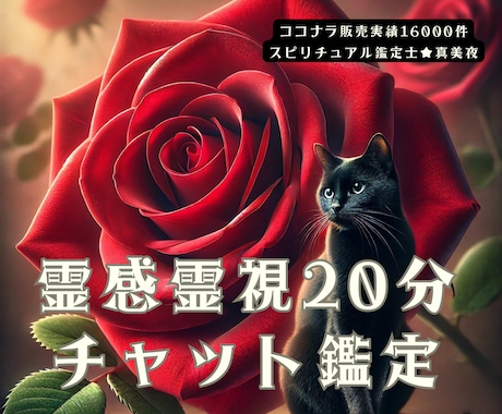 チャット(20分間)霊感・霊視で鑑定いたします 恋愛・仕事・対人関係など日常のお悩み相談承ります