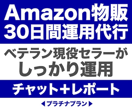 Amazonアカウントまるごと運営代行します イメージ1