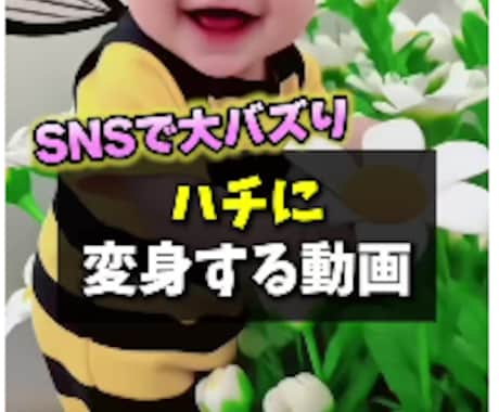 ショート動画で集客UP｜SNS特化の動画編集します Web動画、YouTube、企業PR、SNS用など イメージ2