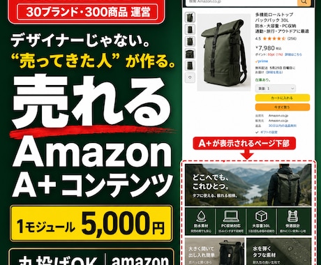 Amazon専門｜現役セラーが売れるA+作ります 30ブランド・300商品｜実践者が構成から設計するA+ イメージ1