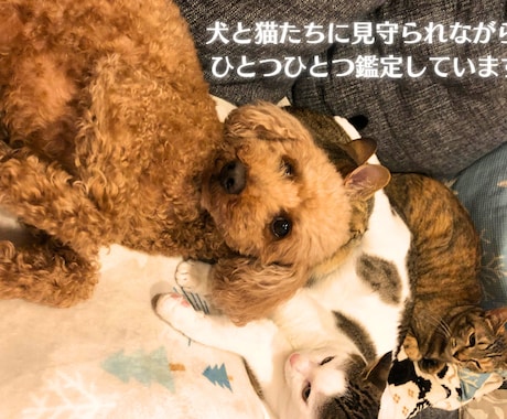 35歳〜の生き方「わたしの魂の再設計図」作成します ― これからの人生と働き方を整える西洋占星術鑑定 ― イメージ2