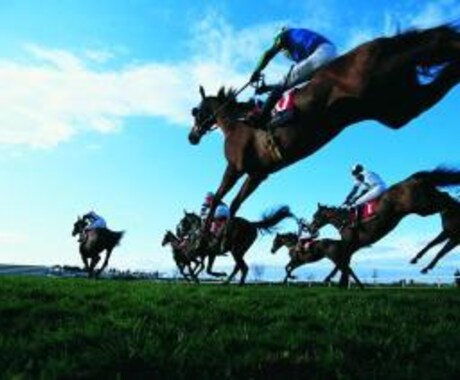 競馬の予想します 競馬での回収率を上げたい方はぜひ イメージ1
